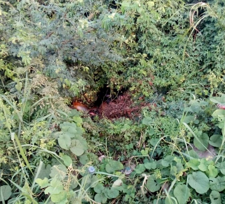 Girl Killed, Left To Rot In Bush At Weija