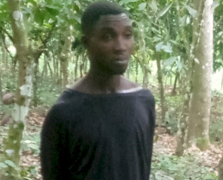 C/R: Farmer Beheads Son, Buries him, Stabs Pregnant Girlfriend