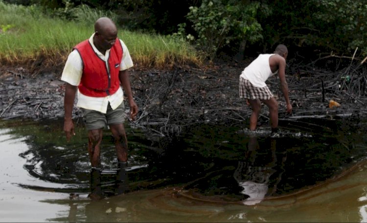 Nigeria: Dutch Court Orders Shell To Pay Nigerian Farmers Over Oil Spills