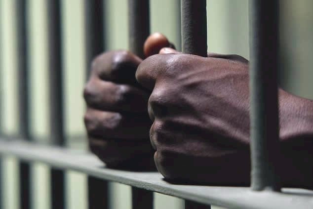 I Know What To Do - 18 Year Old Rapist Tells Court After Being Sentenced To Jail