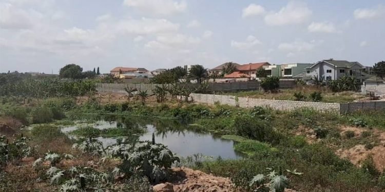 Demolish Buildings At Adjiriganor Ramsar site - Roads Minister To Adentan MCE