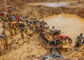 Name And Shame Persons Caught Engaging In Illegal Mining - Small Scale miners