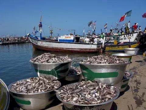C/R: Fisheries Commission Condemns Illegal Fishing Methods
