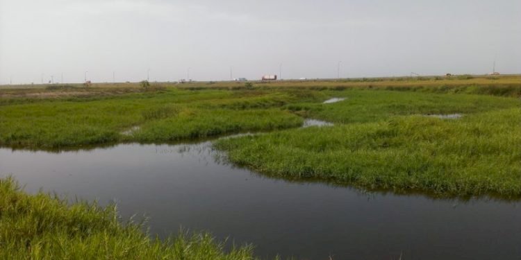 Arrest Persons Illegally Selling Ramsar Sites - Kokrobite Overlord
