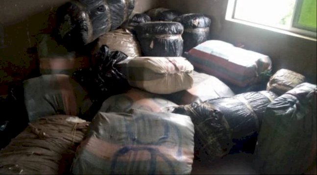 Ashaley Botwe: Four Arrested For Suspected Trafficking Of Indian Hemp