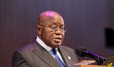 Acting Auditor General Has Done Things Domelevo Couldn't Do - Akufo Addo