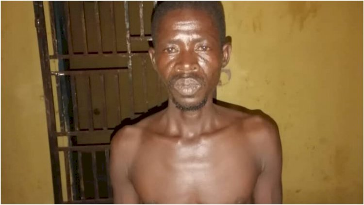 Farmer, 45, Reports Himself To The Police After Shooting His Wife To Death