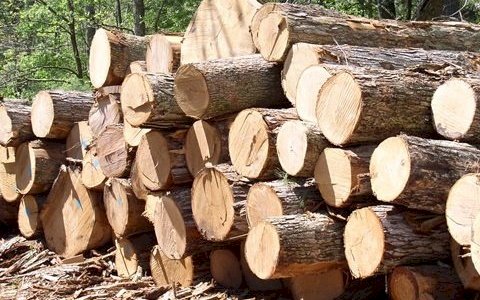 Savelugu: Truck Containing Rosewood Intercepted