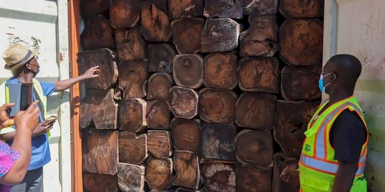 Lands Ministry To Handover Containers Of Rosewood Impounded To NIB