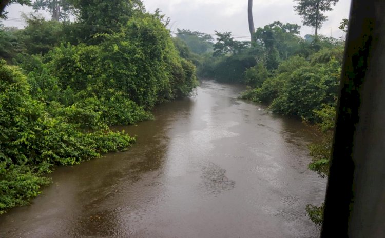 Bia, Tano Rivers Clearing Up After Being Polluted By Galamsey Activities