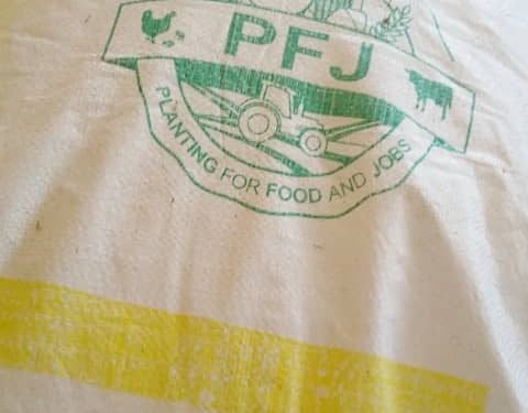 Government’s Planting For Food And Jobs Program Needs Restructuring - GAWU