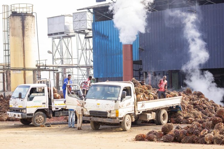 Ashanti Region: Three Persons Die In Explosion At Juaben Oil Mills