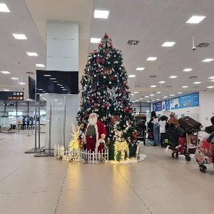 Minority To Summon Transport Minister Over Cost Of Christmas Trees At KIA