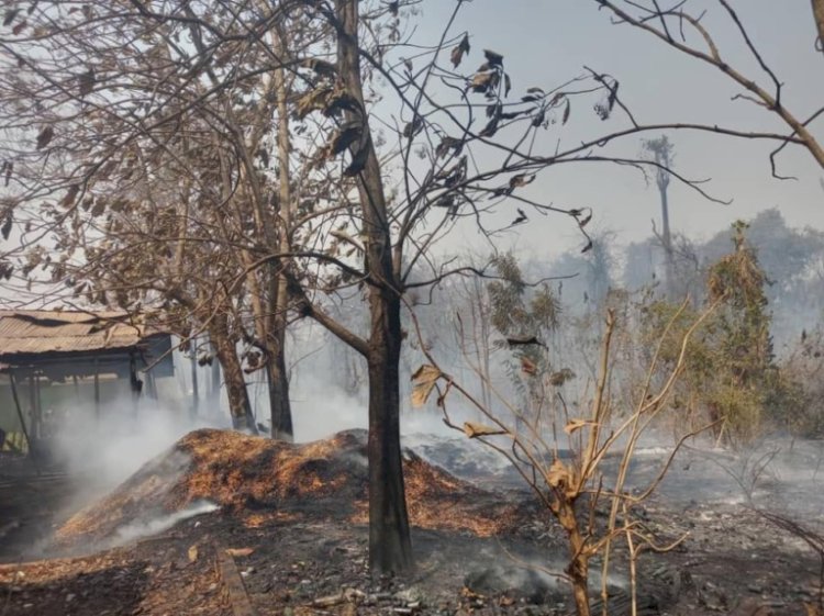 Fire Sweeps Through Forest In Fiapre Near UENR