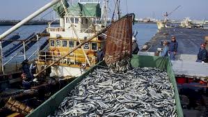 Akufo-Addo Outlines Plan Of Action To Combat Illegal, Unregulated Fishing