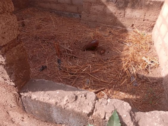 Decaying Body Discovered In Uncompleted Building In Bole