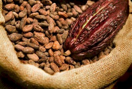 We’ve Accounted For $1.3 Billion Cocoa Syndicated Loan; Ignore Contrary Claims - COCOBOD