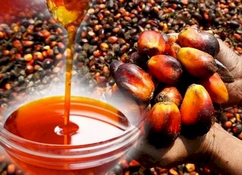 30% Of Palm Oils On Ghanaian Markets Fail FDA’s Nationwide Zero Sudan Dye Test