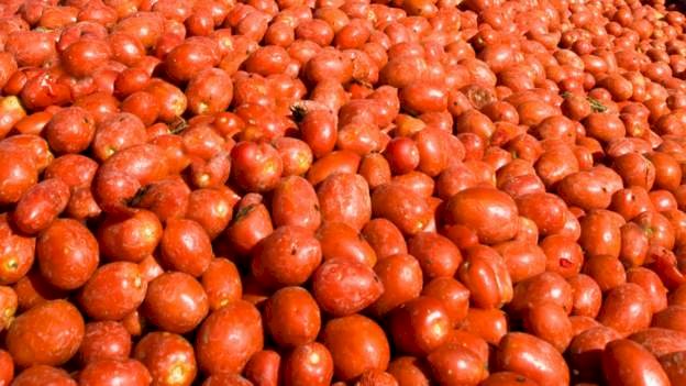 Nigeria: Tomato Factory Raided By Motorbike Gangsters