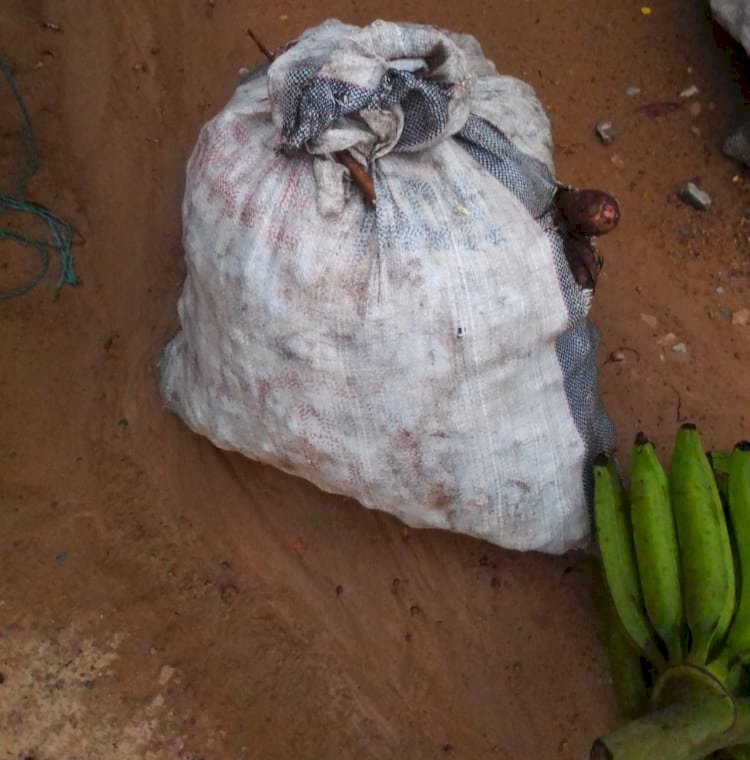 Labourer Jailed One Year For Stealing Plantain And Cocoyam At Assin Foso