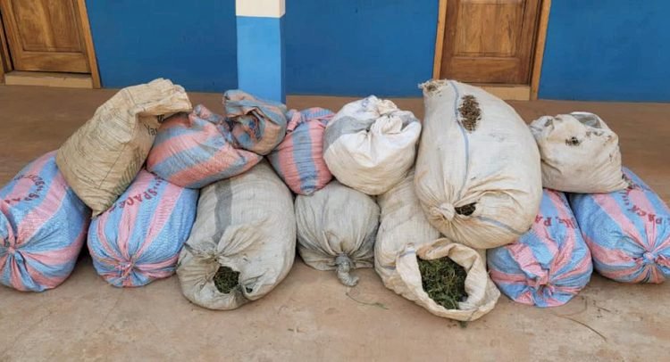 3 Persons Arrested With 21 Bags of ‘Weed’, Single Barrel Gun