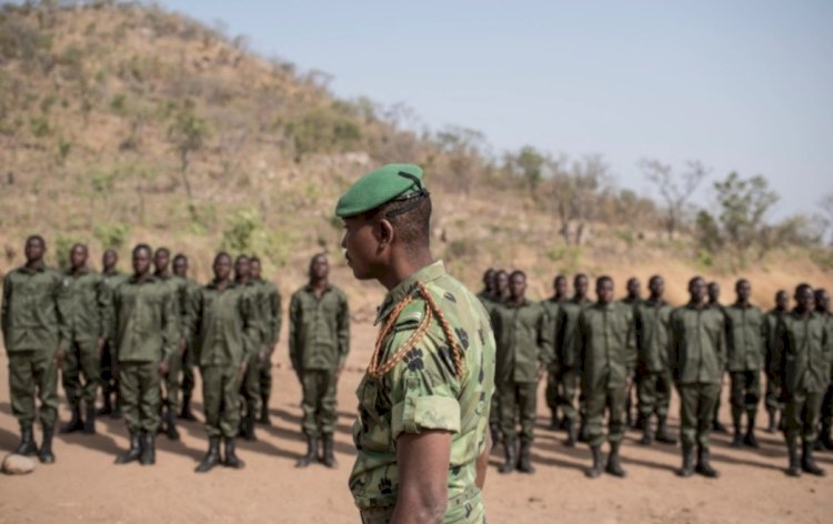 Benin: Five Soldiers Killed In National Park Attack