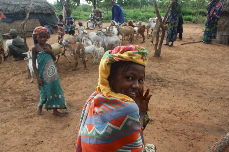 Xavier Sosu Calls On Social Protection Ministry, Others To Protect Fulanis In Ghana