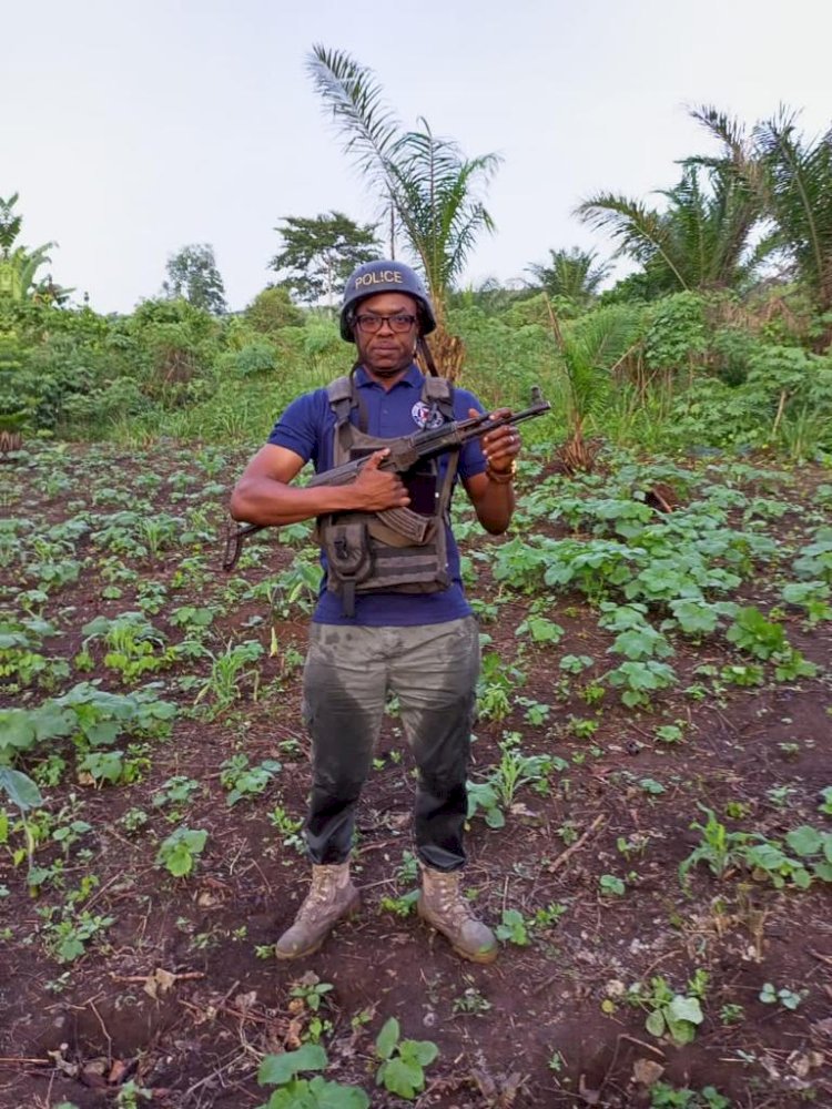 Police At Asesewa Destroy 5 Acres Of Marijuana Farms