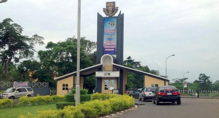 Nigeria: University Indicts Professor For Rubbing Student Hand On His Manhood