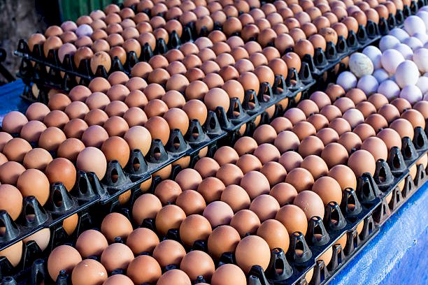 Egg Prices To Go Up By 30 Percent