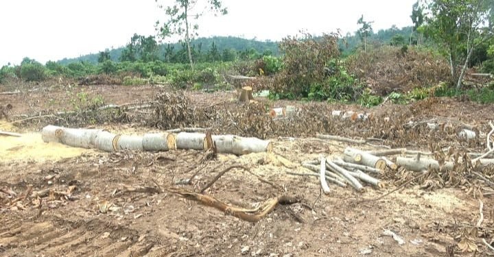 Bompata, Asankare Farmers Cry Over Destruction Of Farmlands By Developer