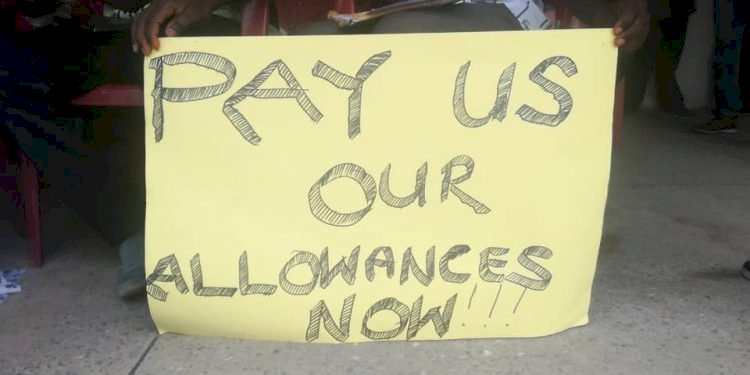 Youth In Afforestation Declare Sit-Down Strike Over Unpaid Allowances