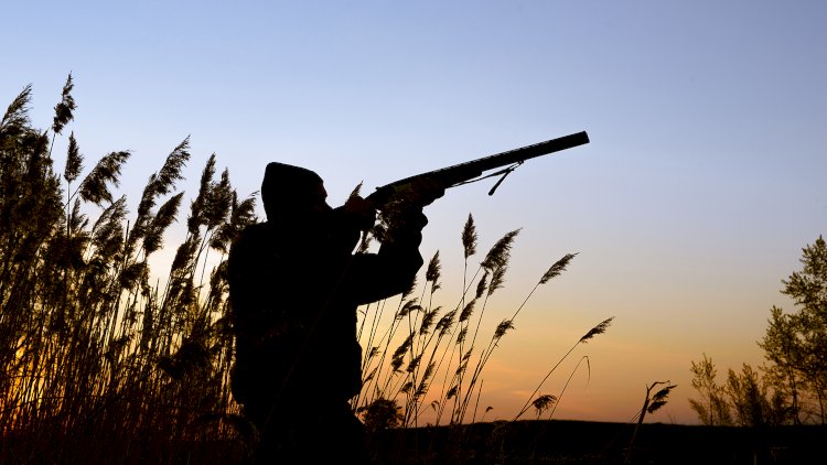 Hunter Mistakes Friend For Game And Shoots Fatally