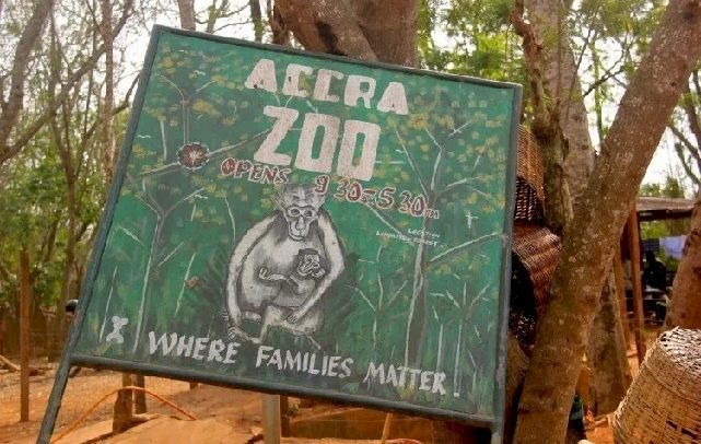 Accra Zoo Shut Down