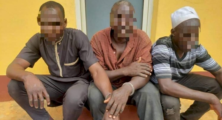 Nigeria: Police Arrest Buses Loaded With Ammunition
