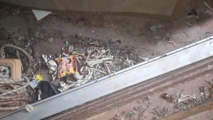 Police Arrest Man With Unidentified Bones At Assin Bereku