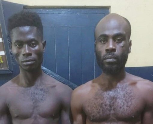 2 Nigerians Sentenced To 20 Years For Engaging In Illegal Mining