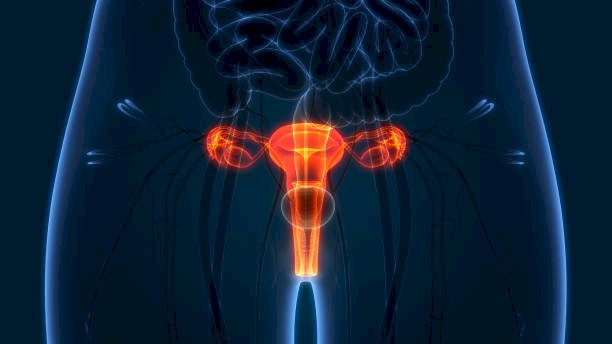 Cervical Cancer