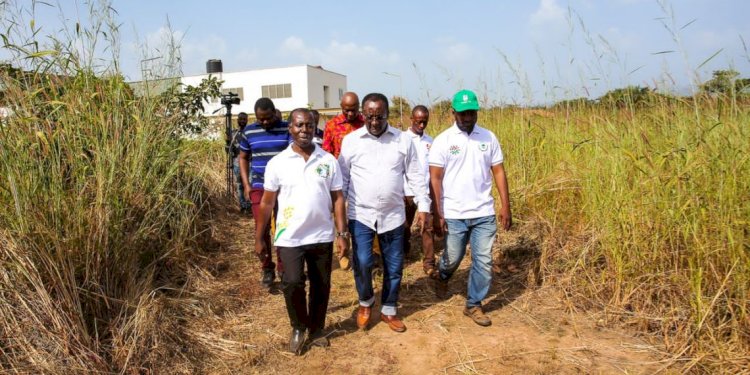 Agric Minister Tours Oti Region