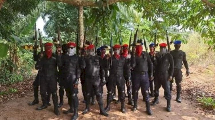 Nigeria Confirms Death Of A Top Militia Leader