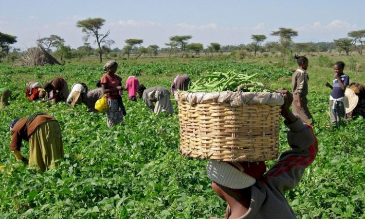 Government Declares December 2 As Public Holiday