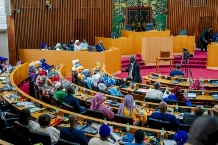 Politician Slaps A Female MP In Senegal Parliament, Sparking Brawl