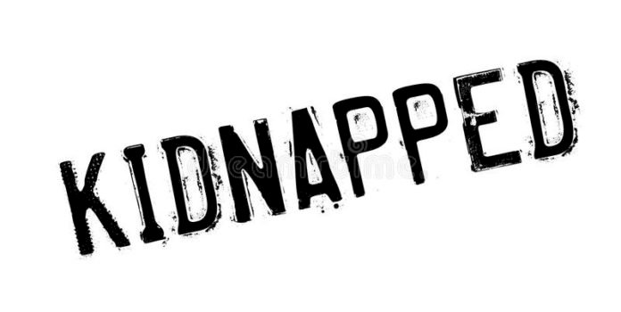 Gunmen Kidnap Nigerian Politician’s Wife And Children