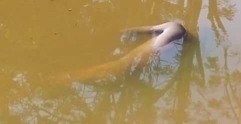 Man Drowns In River At Assin Akrofuom