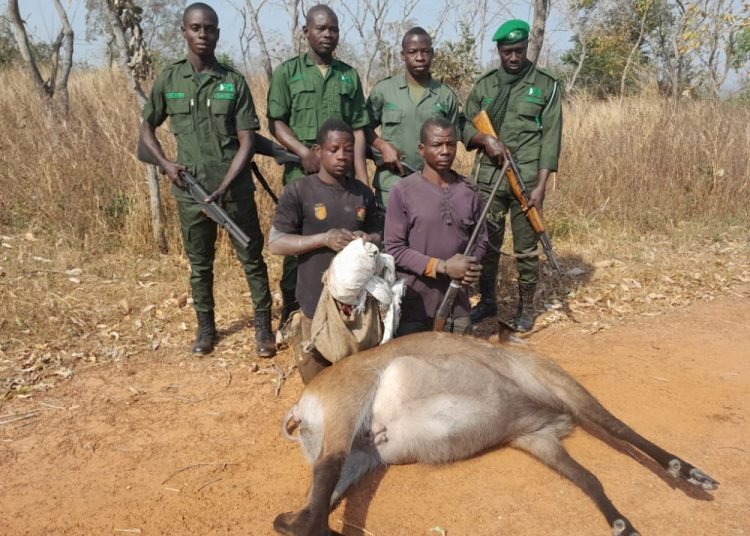 Mole National Park Managers Warn Against Poachers