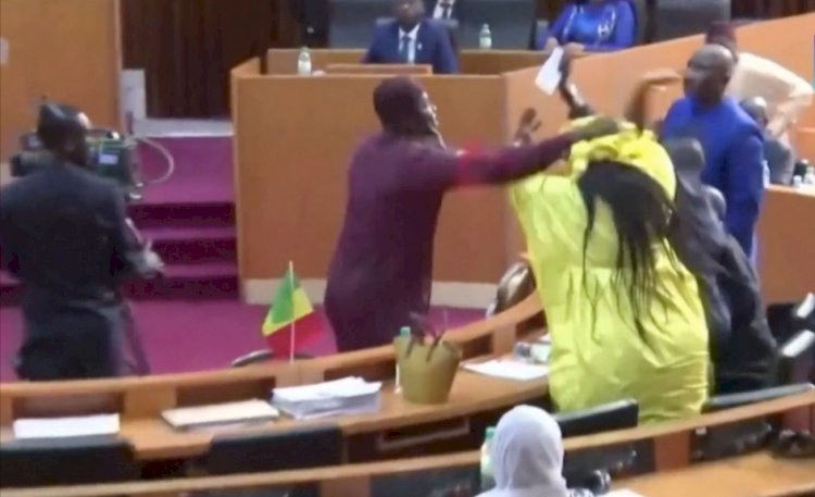 Senegal: Lawmakers Get Six Month Jail term For Colleague Assault