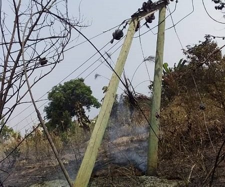 ECG Loses 18 Power Poles To Bushfires