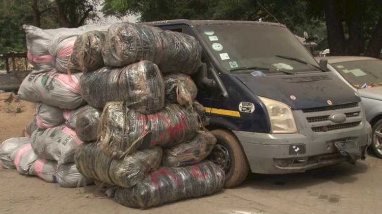 Customs Intercepts Vehicles Carrying Suspected Indian Hemp