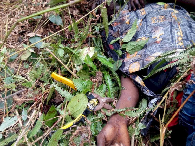 Labourer Killed And Dumped By Roadside At Assin Dominase