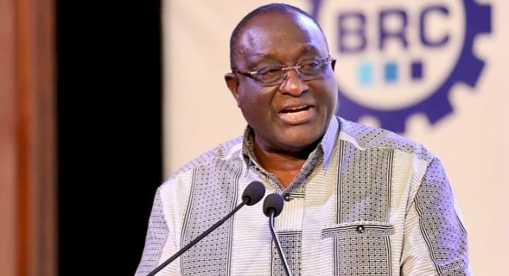 Ghana’s Economy Is Still Fragile - Alan Kyerematen